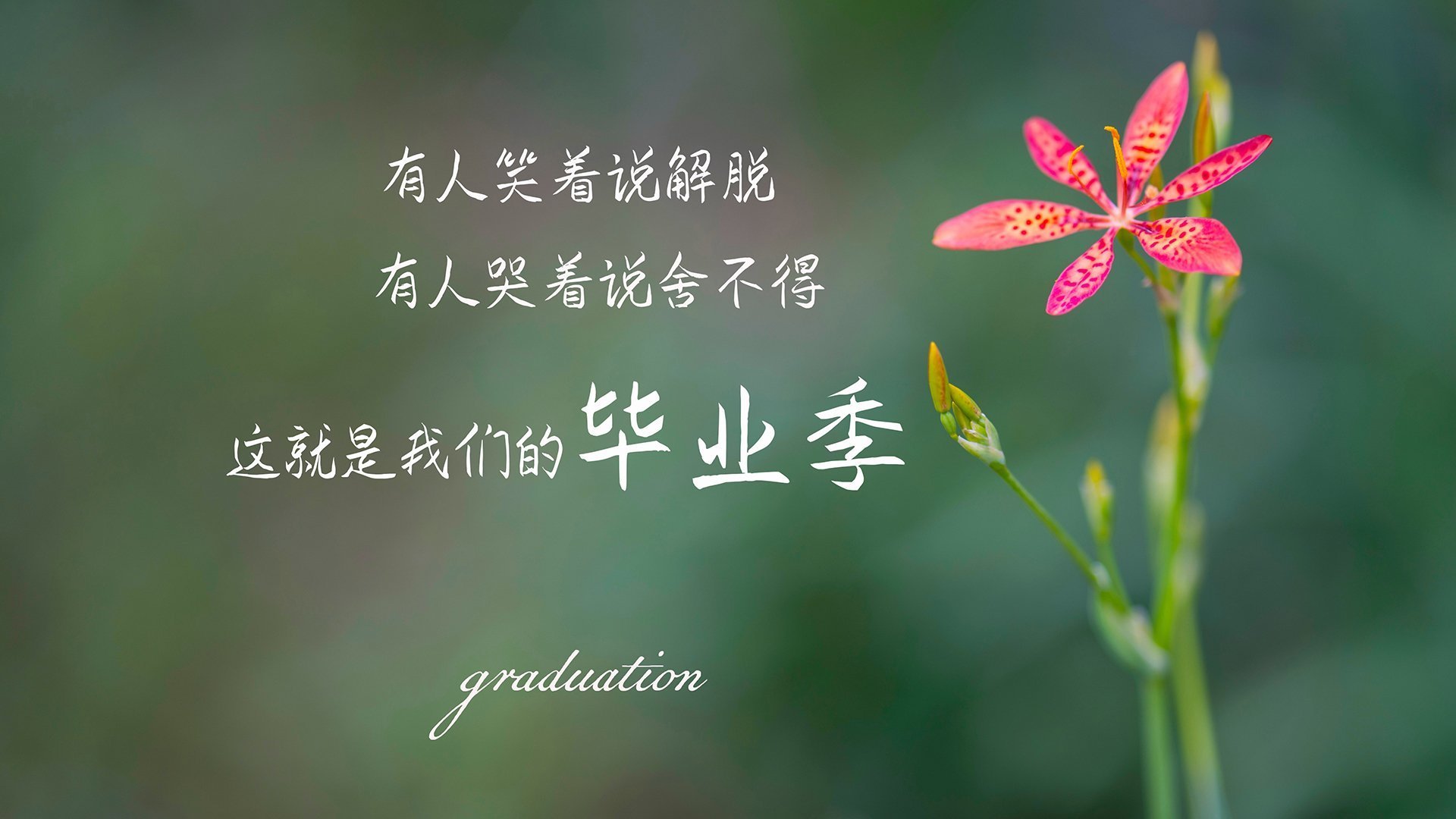 哈弗茨一锤定音，巴萨决胜局力压克罗地亚，世界排名争夺战迎来新王